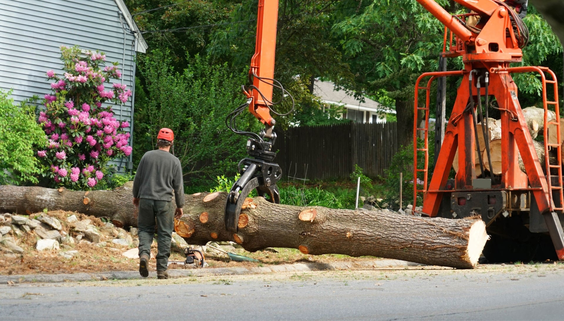 Tree stump has fallen during tree removal services in Minneapolis, Minnesota